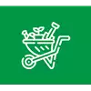 PACCIAMATURA