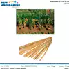 Foto articolo dell\'articolo CANNA BAMBU' 120 CM GRN54 