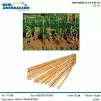 Foto articolo dell\'articolo CANNA BAMBU' 150 CM GRN55 