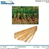 Foto articolo dell\'articolo CANNA BAMBU' 90 CM GRN53 