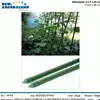 Foto articolo dell\'articolo CANNA PER IL SOSTEGNO DI PIANTE H.90 CM Ø11 MM GRN18