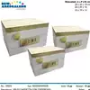 Foto articolo dell\'articolo SET 3 PZ CASSETTA CON COPERCHIO VSL53 