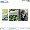 Foto articolo dell\'articolo TELO PROTETTIVO PIANTE E FIORI IN TNT 1,6X10 MT GRN70 