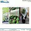 Foto articolo dell\'articolo TELO PROTETTIVO PIANTE E FIORI IN TNT 1,6X5 MT GRN69 